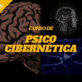 curso de psico civernetica